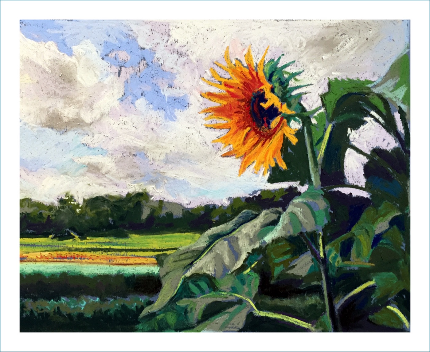 Across the Field