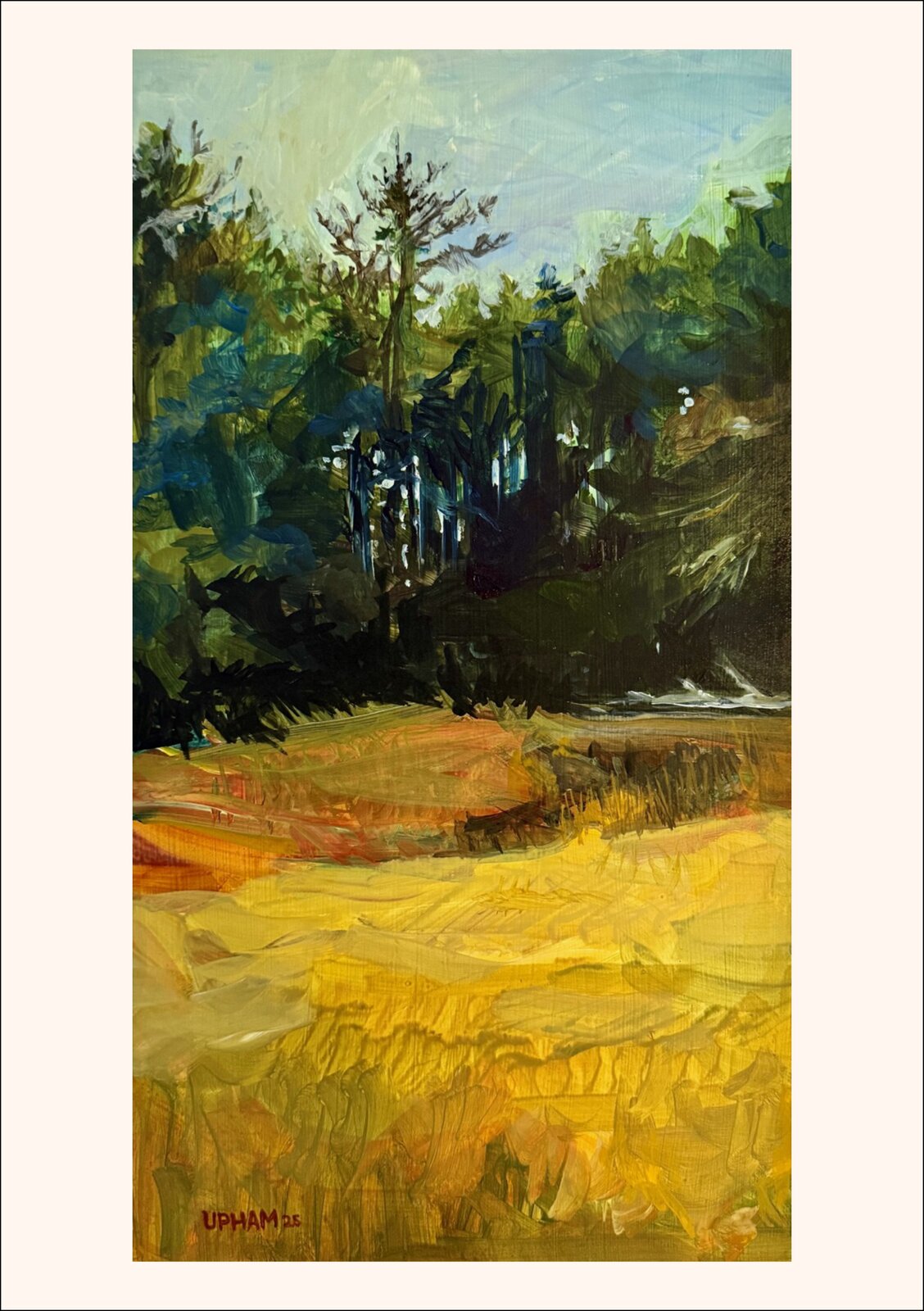 Across Wetlands