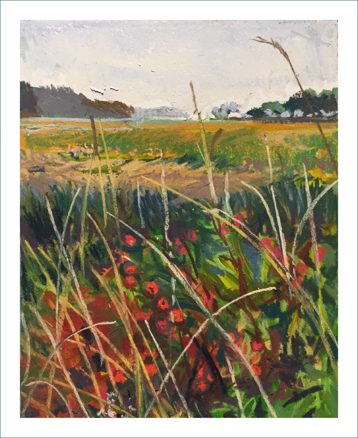 Marsh Moments #14