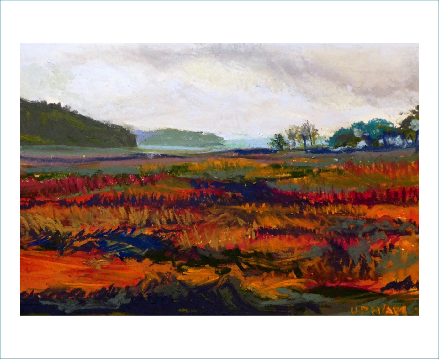 Marsh Moments #22