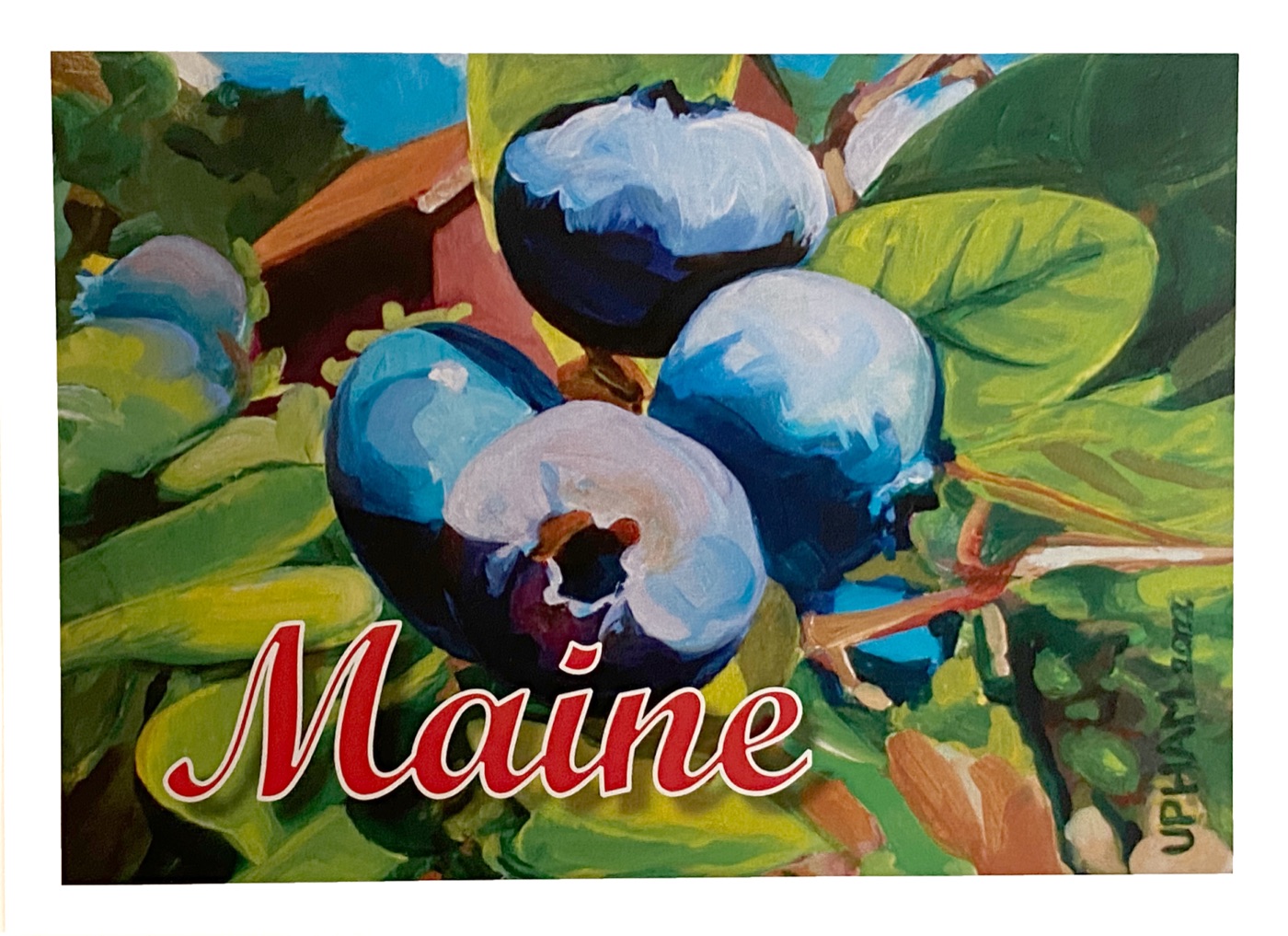 Ripe Maine