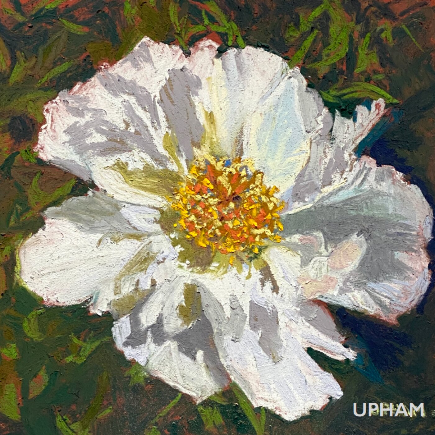 Peony